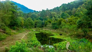 Kiri wong village 22nd May 2016-74