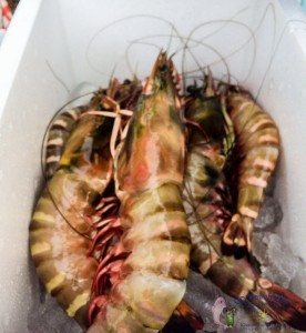 8th Prawns-10