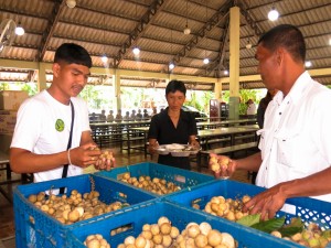 fruit donation-2