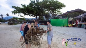 5th beach cleaning Finnish Way-9