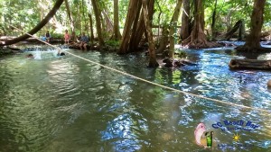 Fish Spa Khanom-3