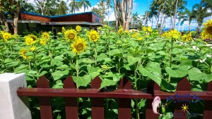 Khanom View Point-4