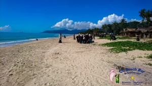 11th Beach Cleaning