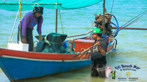 Khanom Fishing Tournament # 13-123