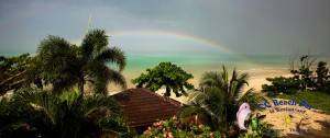 Rainbow 3rd June 2017-2