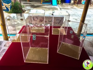 Charity Boxes