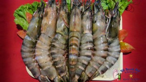 Giant Prawns Oct 2017-3