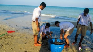 Beach Cleaning By Khanom Pittya Students 12th Dec  (15)