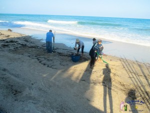 Beach cleaning 10th-6