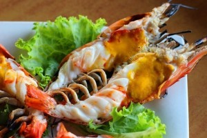 river-prawn-620x413[1]