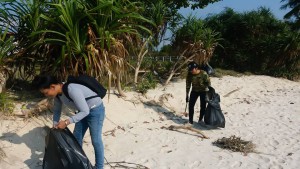5th Beach cleaning day-3