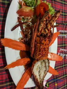 Lobster (1)