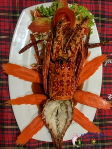 Lobster (2)