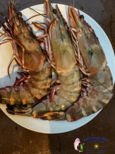 Jumbo Prawns-2