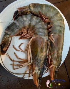 Jumbo Prawns