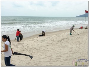 Beach Cleaning 3rd nov  (5)